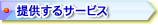 񋟂T[rX